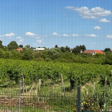 Minidom Limbach-relax In Nature Limbach